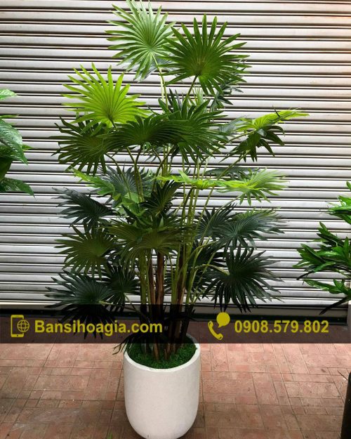Cây Cọ Giả Giống Hệt Cây Thật - Cao 1,85m
