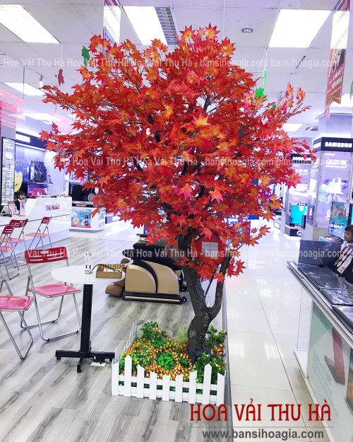 Cây lá phong giả cao 2,6m